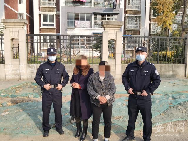 護欄網(wǎng)價格 護欄網(wǎng)價格