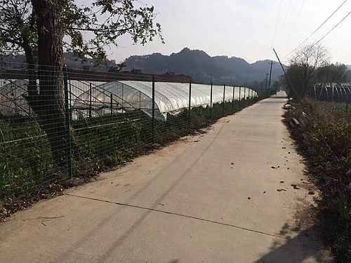 �Ͼ��o(h��)�ھW(w��ng)�r(ji��)��