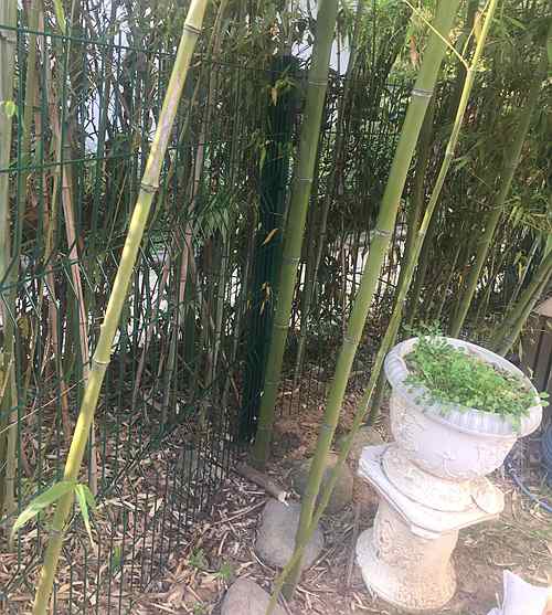 南京護(hù)欄網(wǎng) 南京護(hù)欄網(wǎng)