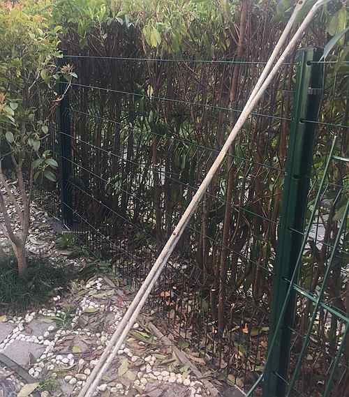 桃形柱護(hù)欄網(wǎng)價格 桃形柱護(hù)欄網(wǎng)價格