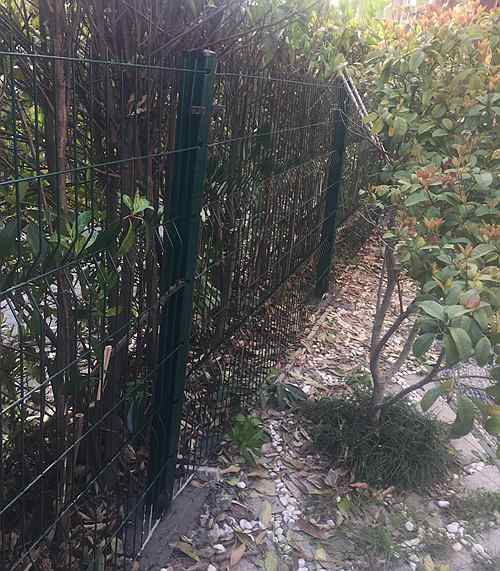 桃形柱護(hù)欄網(wǎng) 桃形柱護(hù)欄網(wǎng)