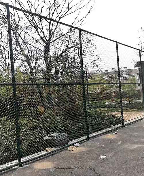 �w�����o�ھW