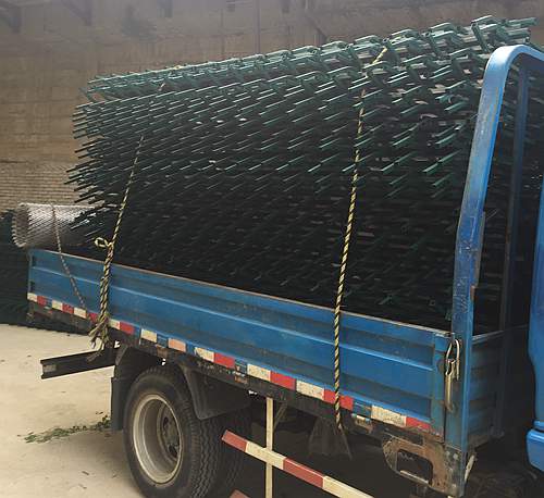 �G�����o�ڃr��